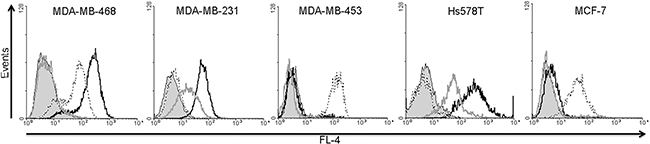 Analysis of EGFR, EpCAM and CSPG4 protein expression in MDA-MB-468, MDA-MB-231, MDA-MB-453, HS578T and MCF7 cell lines.