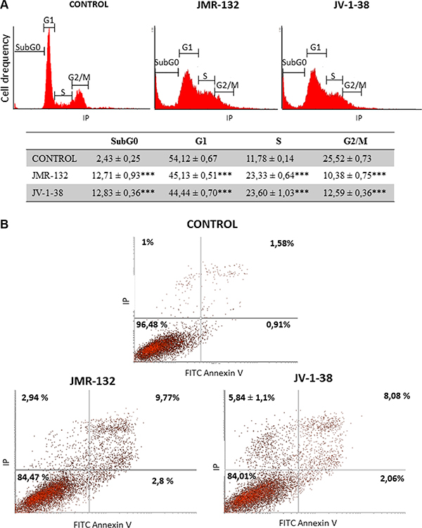 Analysis of cell cycle (A) and apoptosis (B) in PC3 cells after treatment with GHRH antagonists JMR-132 or JV-1-38.