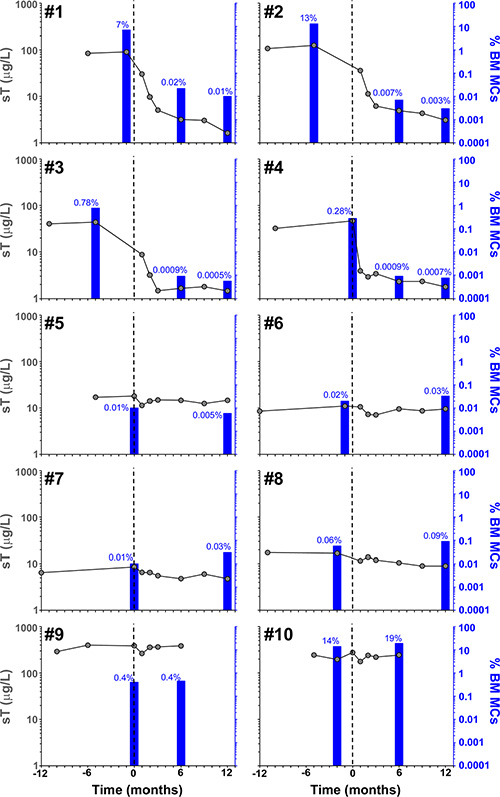 Effect of imatinib therapy on BM MC counts and sT levels in the 10 patients included in the present clinical trial.