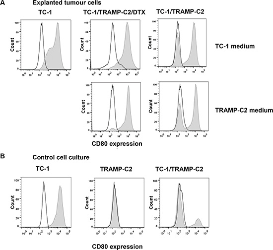 Cell surface marker analysis of explanted tumor cells.
