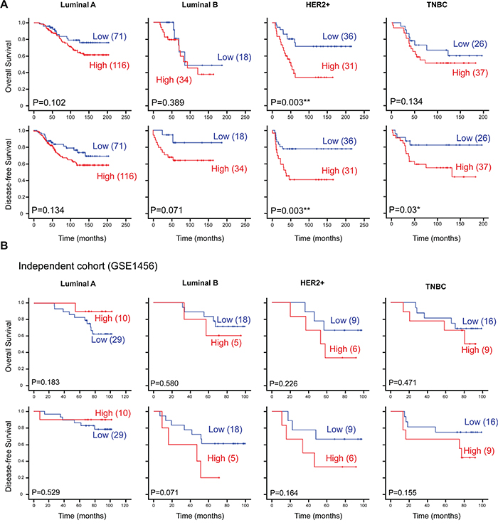 CTMP is associated with poor survival and early recurrence in HER2-enriched breast cancer.