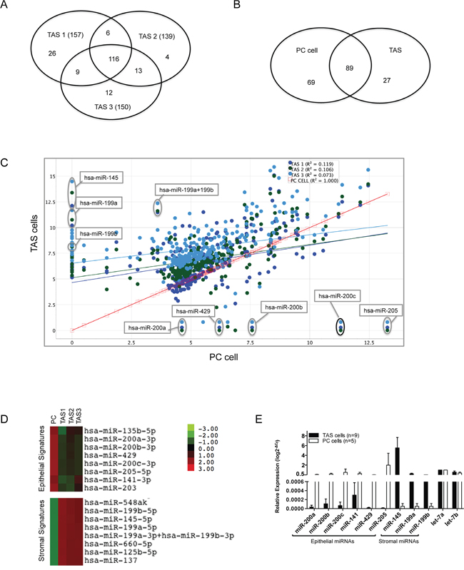 Differential miRNA expression of PC cells and TAS cells.