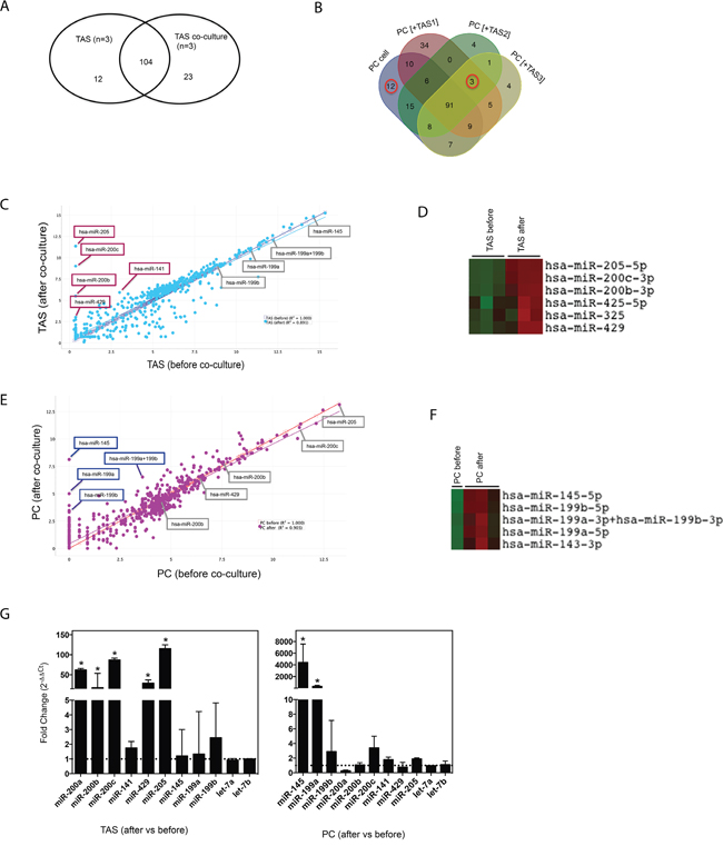 Co-culture alters miRNA concentrations.