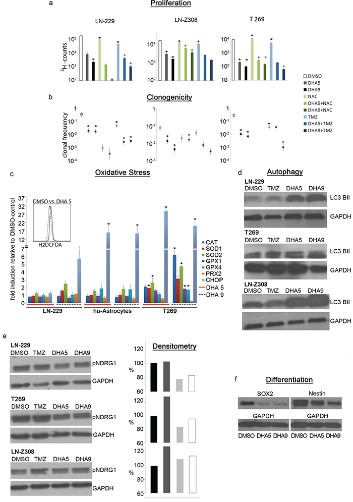 DHA exerts ROS-dependent anti-tumor activity.