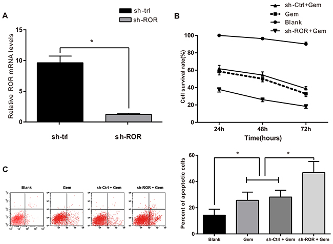 Linc-ROR influences cell viability and apoptosis in Gem-treated MDA-MB-231 cells.
