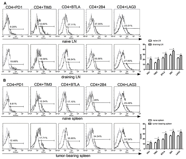 Upregulation of exhausted T cells phenotype in CD4 and CD8 T cells isolated from tumor-bearing mice.