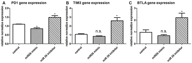 PD1, TIM3, BTLA gene expression after transfection with miR-28 mimic or miR-28 inhibitor.