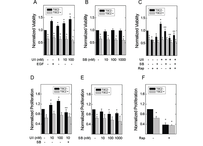 Effect of urotensin-II and the urotensin receptor inhibitor SB657510 on the viability and proliferation of TSC2-deficient cells.