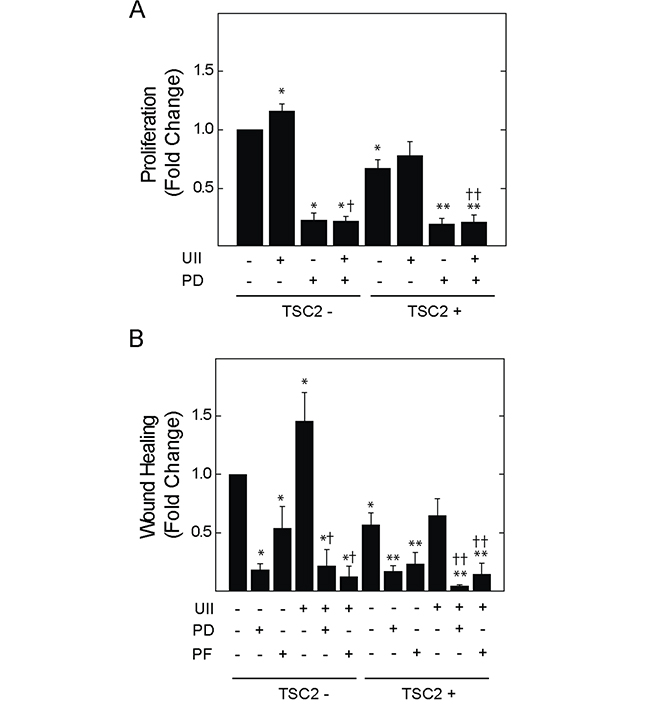 Effect of Erk MAPK kinase or Fak inhibition on UII-induced proliferation or migration of TSC2-deficient cells.