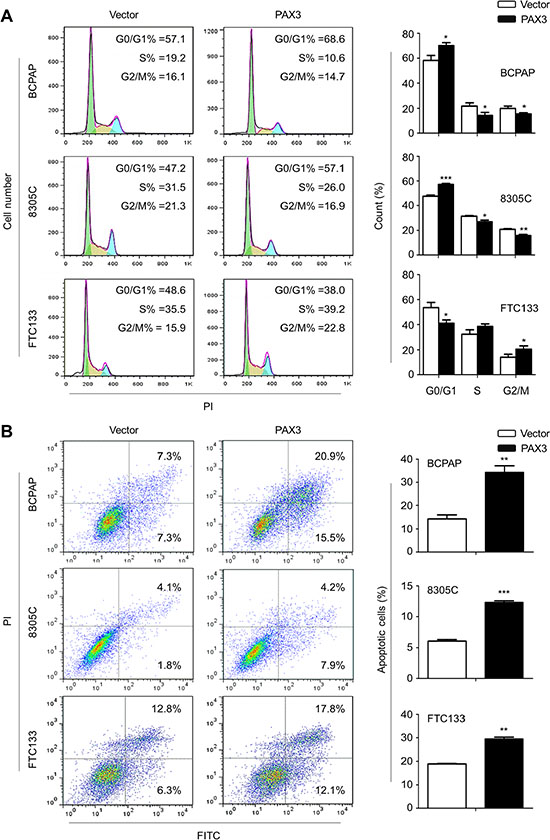 Induction of cell cycle arrest and apoptosis by PAX3 in thyroid cancer cells.