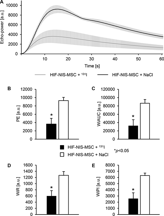 Reduced perfusion of intrahepatic HCC tumors after application of a therapeutic dose of radioiodide in HIF-NIS-MSC-treated mice.