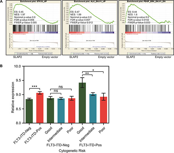 SLAP2 expression led to better survival in FLT3-ITD positive AML.