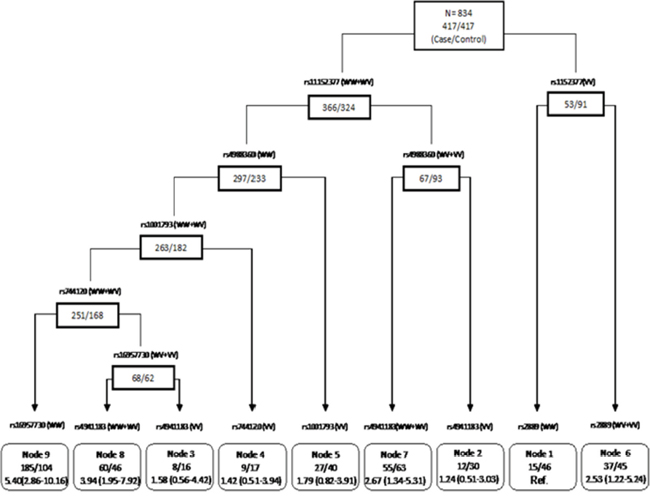 CART analysis of genetic polymorphisms in the apoptosis pathway and risk of ovarian cancer.