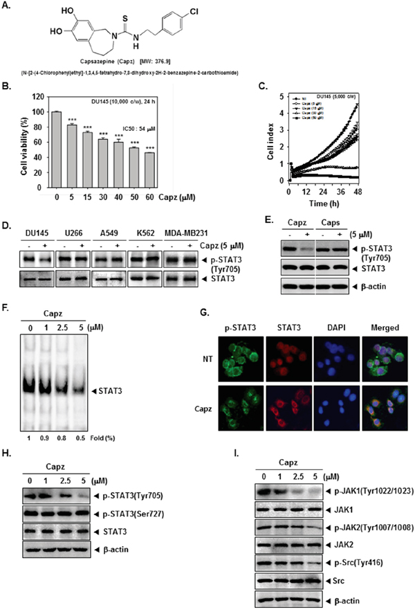 Capz inhibits the STAT3 signaling pathway by inhibiting constitutive JAK1/2 and Src activation.