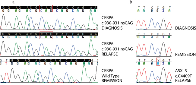 Sanger sequencing validation of somatic mutations.