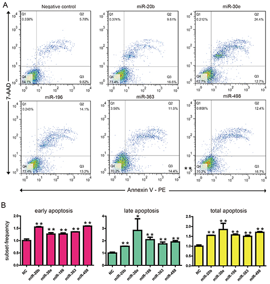 KYSE150 cells were transfected with 30 nM of 5 cell death related miRNAs or NC.