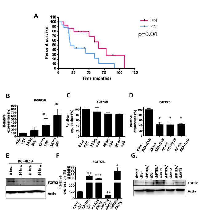 A) mRNA was obtained from 22 oro-pharyngeal tumour biopsies and matched non-tumour tissue and IL1B and FSP1 levels were determined using real-time PCR analysis.