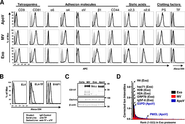 Surface expression comparison of B16-F1-derived vesicles using flow cytometry.