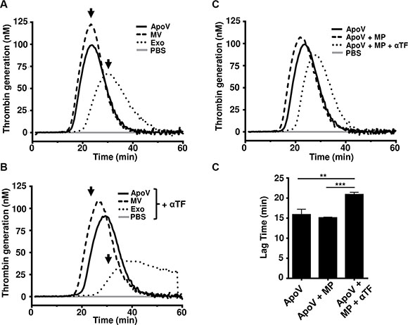 Thrombin generation assays B16-F1-derived EV.