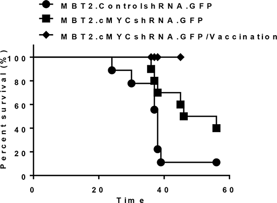 Prolonged survival of mice with orthotopic tumors in the bladder via the reduction of c-myc expression.