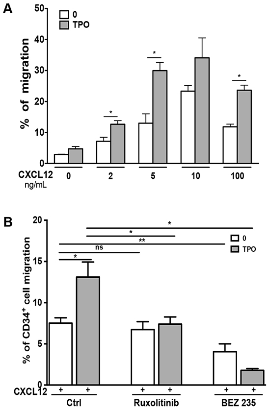 Cytokine-mediated activation of signaling pathways enhances the chemotactic response of primary CD34&#x002B; cells to CXCL12.
