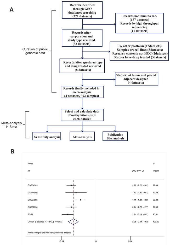 Meta-analysis of methylation cite of S100A8.