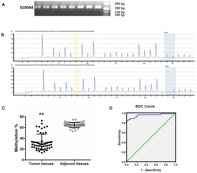 Methylation lever analysis of S100A8.