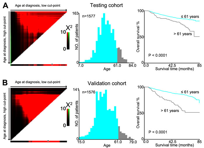 X-tile plots were utilized to determine the cutoff value of the age at diagnosis on NPC cohorts.