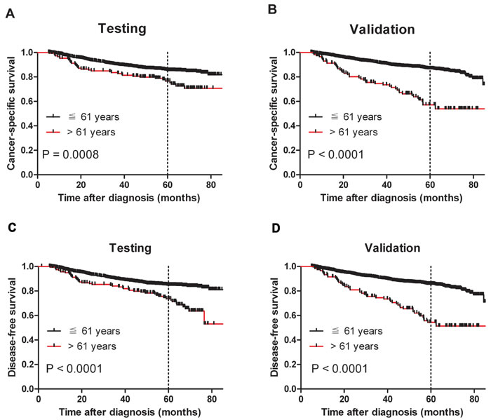Older age was associated with shorter NPC cancer-specific survival and disease-free survival (log-rank test).