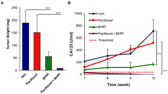 BHPI plus paclitaxel eliminates orthotopic multidrug resistant OVCAR-3 tumors.