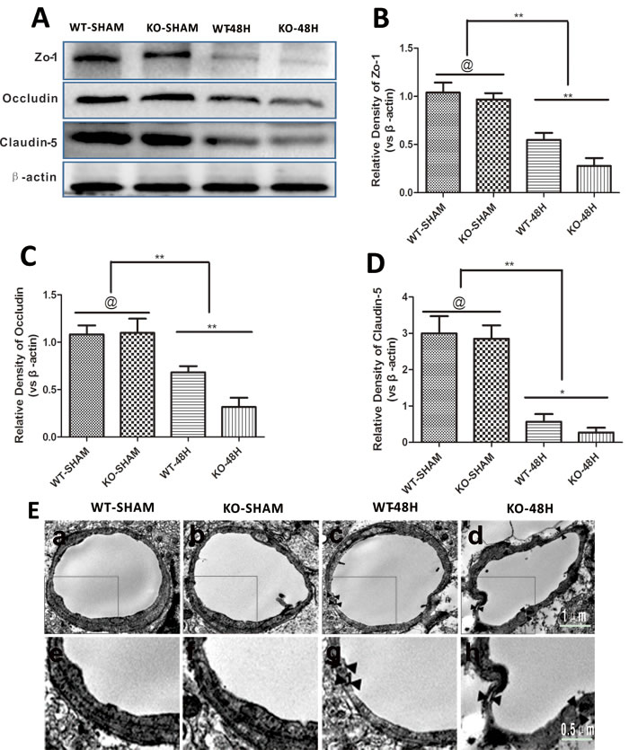 Figure 6: