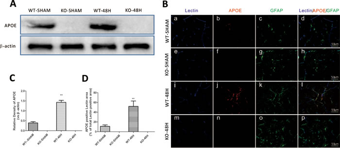 Figure 4: