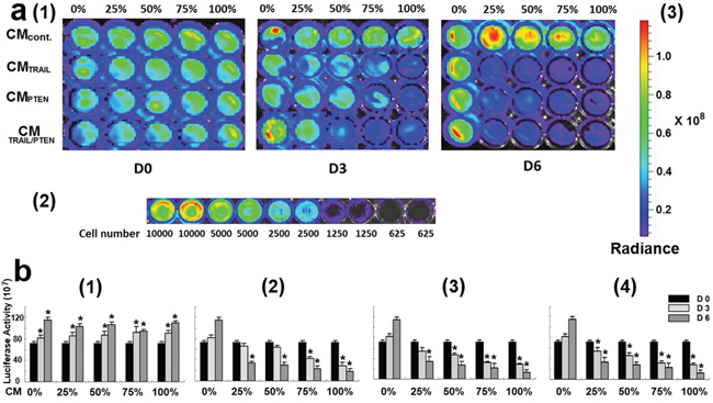 a. Assessment of DBTRG cell viability using bioluminescence determination.