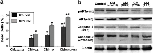 a. Summary of cell viability of indirect co-cultures.