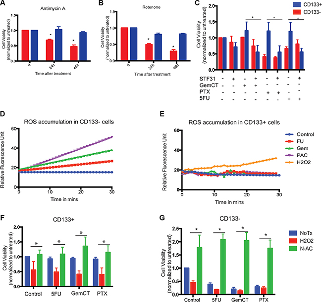 Low mitochondrial activity resulted in survival advantage of CD133+ cells.