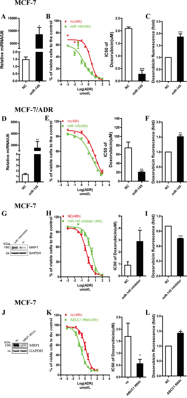 miR-145 regulates drug sensitivity of breast cancer cell lines to ADR through targeting MRP1.