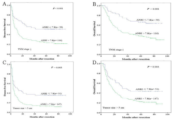 Kaplan-Meier survival curves of different HCC subgroups after hepatectomy.