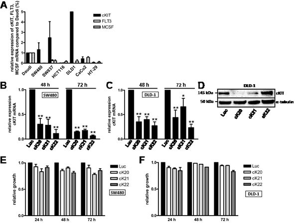 FIGURE 4 : Expression and influence of the PDGFR&#x3b2; family member c-KIT on cell proliferation.