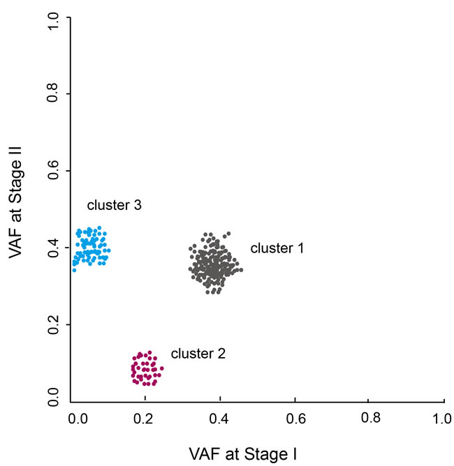 VAF clustering analysis of patients sequenced at two tumor stages.