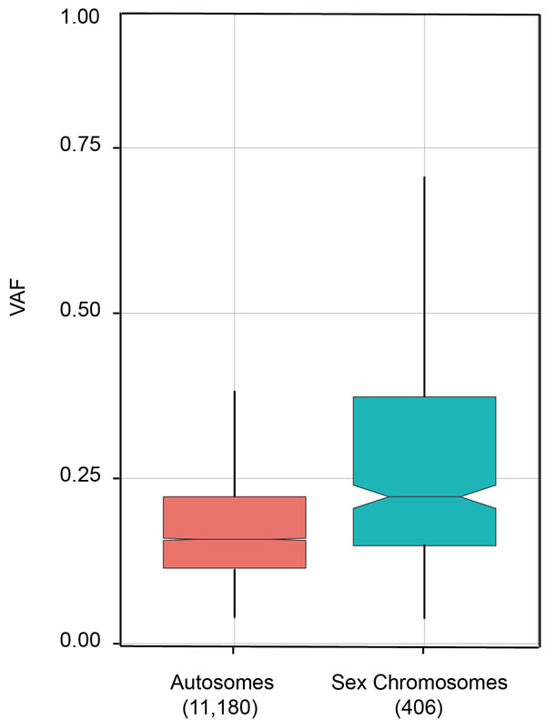 Comparison of VAFs on autosomal and sex chromosomes.