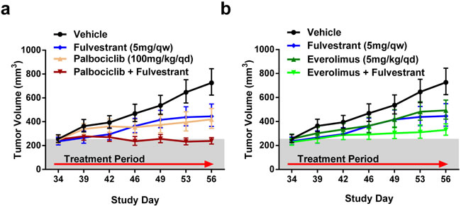 Efficacy of palbociclib or everolimus with fulvestrant in a MCF7-Y537S/KO background.