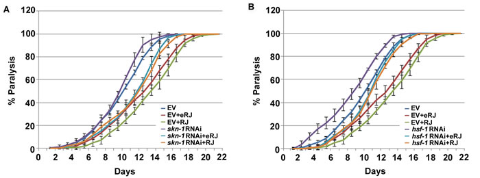 skn-1 and hsf-1 are dispensable in RJ/eRJ-mediated protection against A&#x3b2; toxicity.