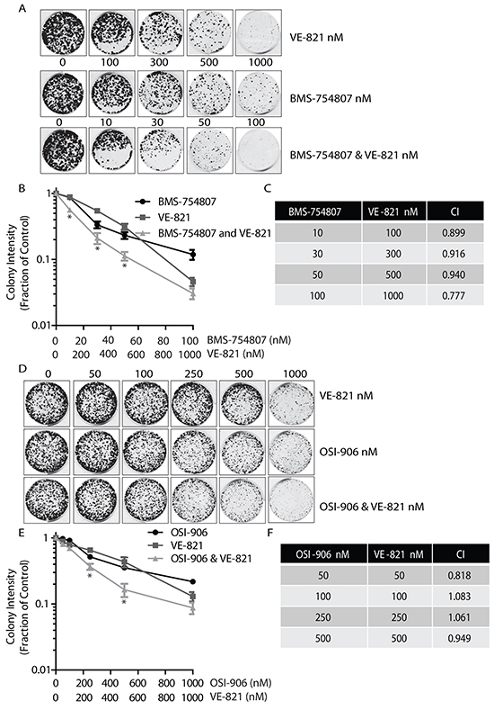 Dual combination of ATR and IGF-1R inhibitors results in decreased colony growth.