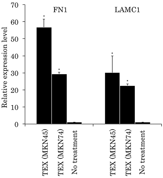 Relative expression levels of FN1 and LAMC1 in TEX-internalized Met-5A cells by qRT-PCR analyses.