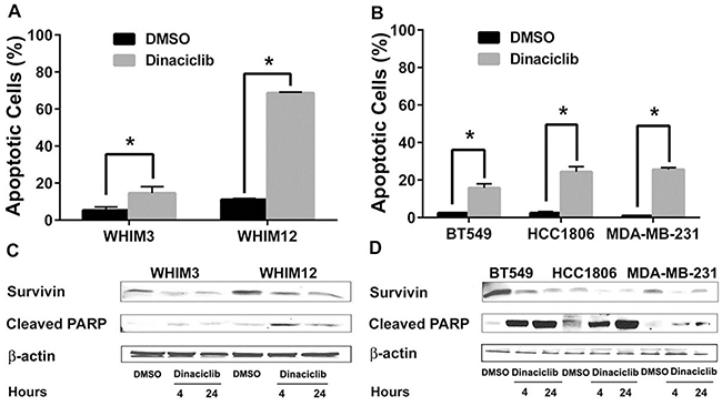 Dinaciclib induced apoptosis in TNBC from PDXs and cell lines.