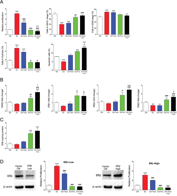 Fulvestrant in combination with tamoxifen affected cell proliferation and ER&#x03B2; expression in vitro.