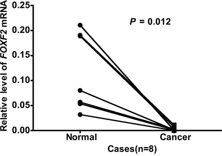 Comparison of FOXF2 mRNA expression in paired lung tumor tissues and normal tissues.