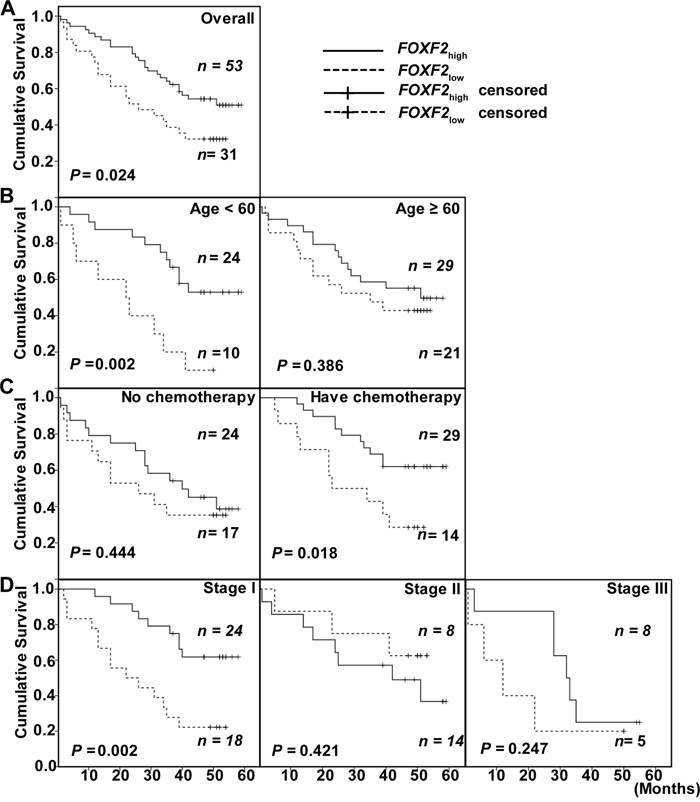 Kaplan-Meier survival curves of patients with different FOXF2 mRNA expression.