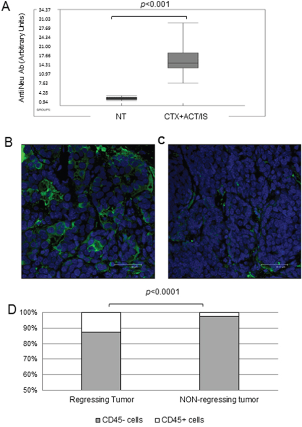 Immune correlates of CTX+ACT/IS efficacy on tumor-bearing transgenic HER-2/neu mice.