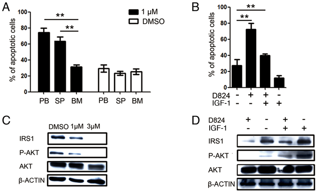 GZD824 inhibits PI3K/AKT signaling in pre-B ALL cells.